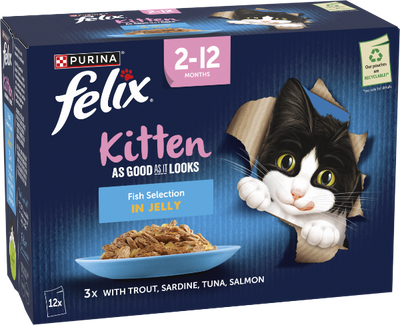 Felix As Good As It Looks Kitten Fish Selection In Jelly 12 X 85G