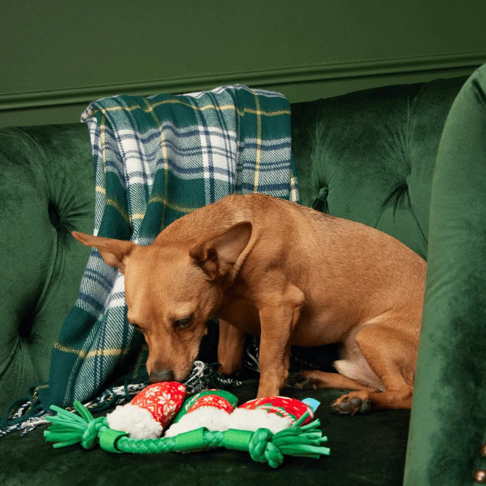 BARK Xmas Stocking Rope Tuggers