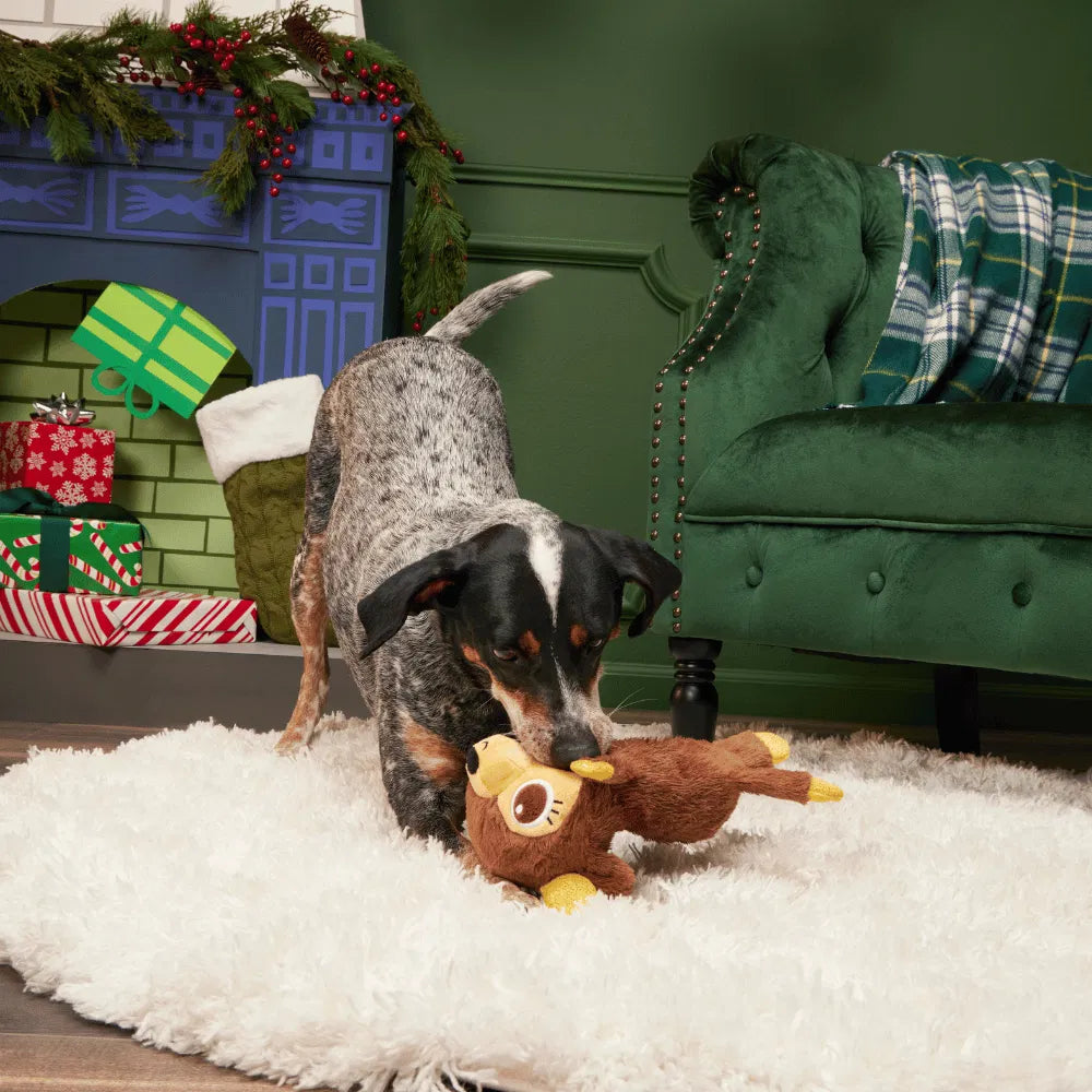 BARK Xmas Splootolph Plush Toy