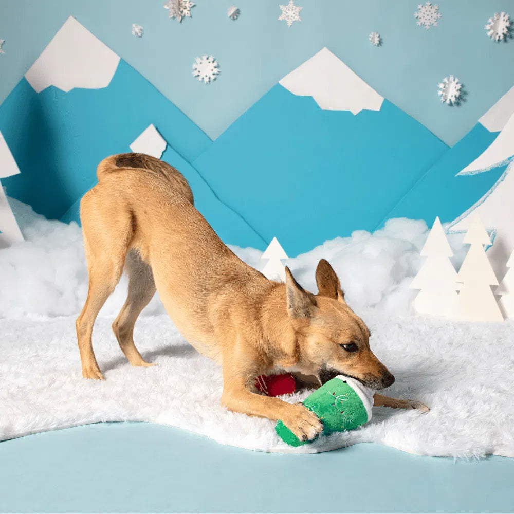 BARK Xmas Fa-la-la-la Lattes 2PK
