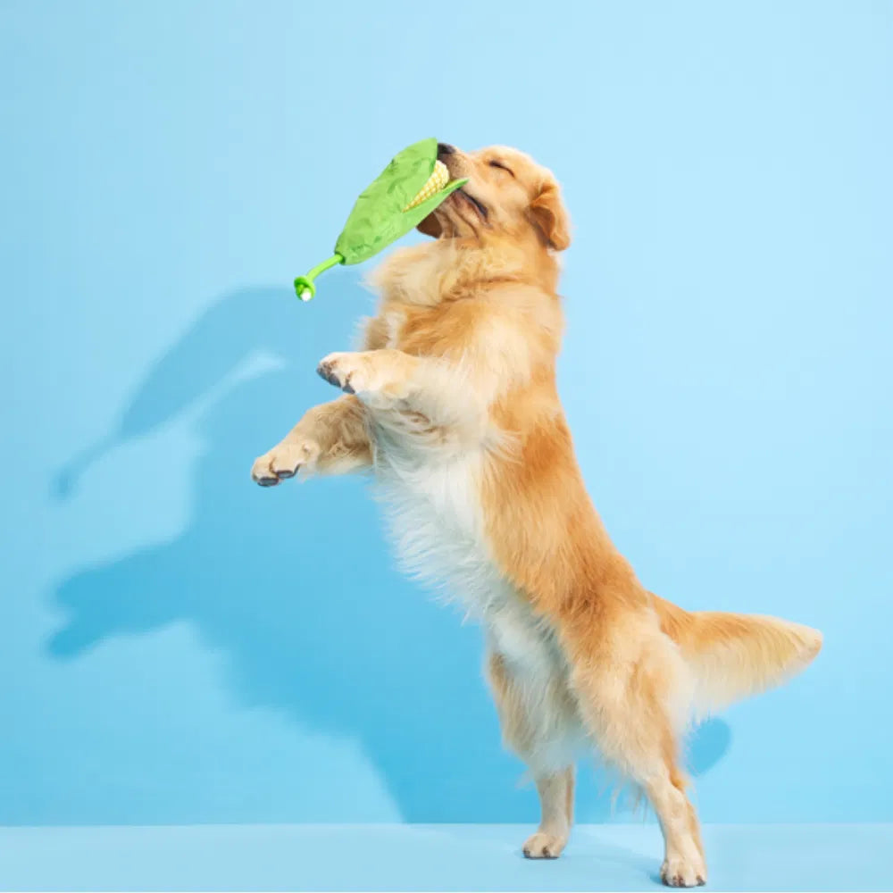 BARK Corn On The Slob Dog Toy