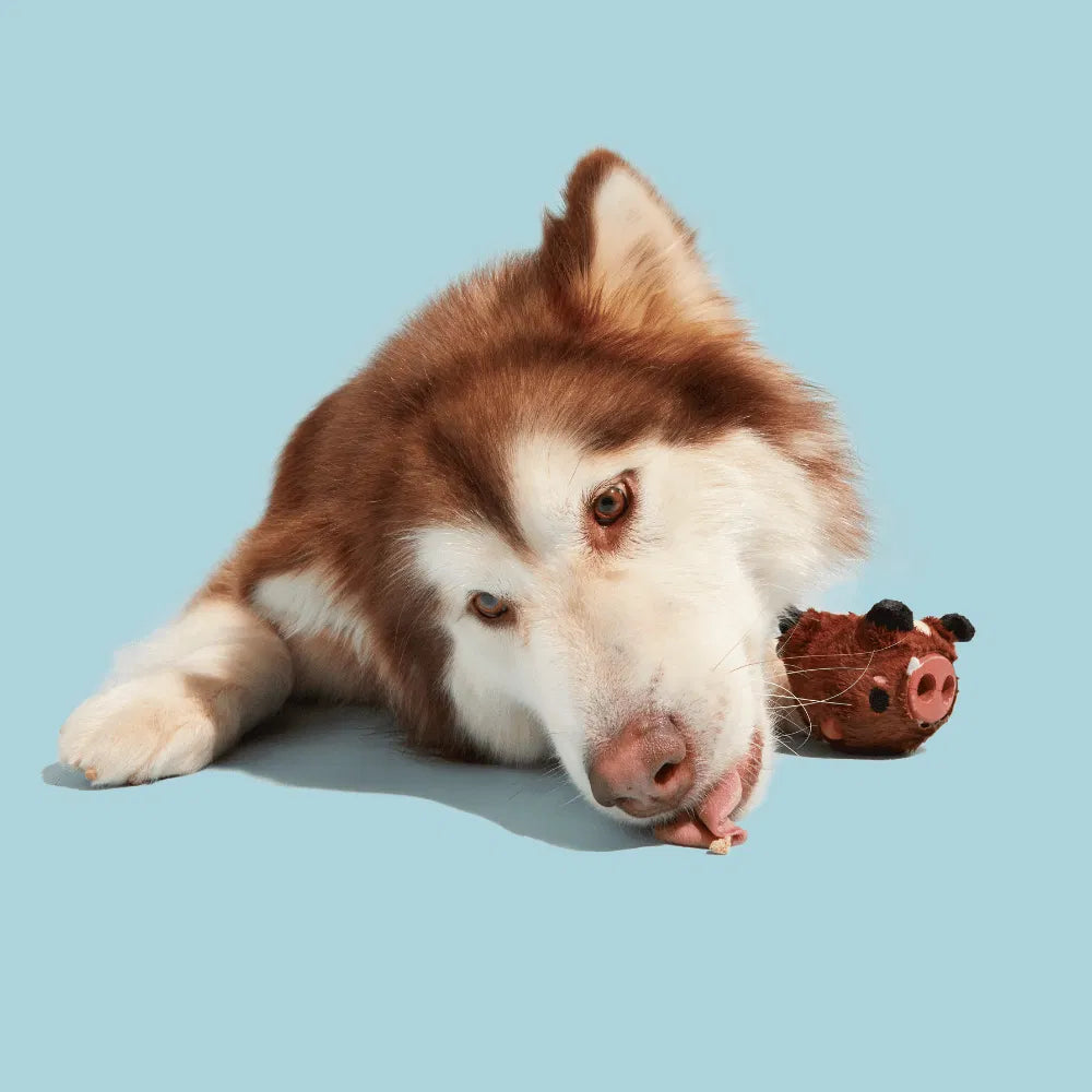 BARK Wild Boris Dog Toy