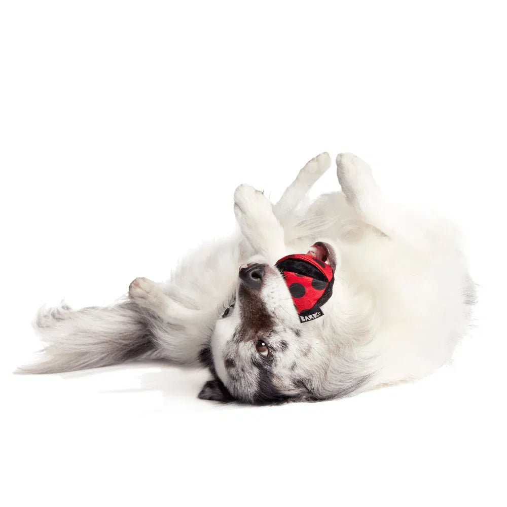 BARK Lady Bugsy Dog Toy