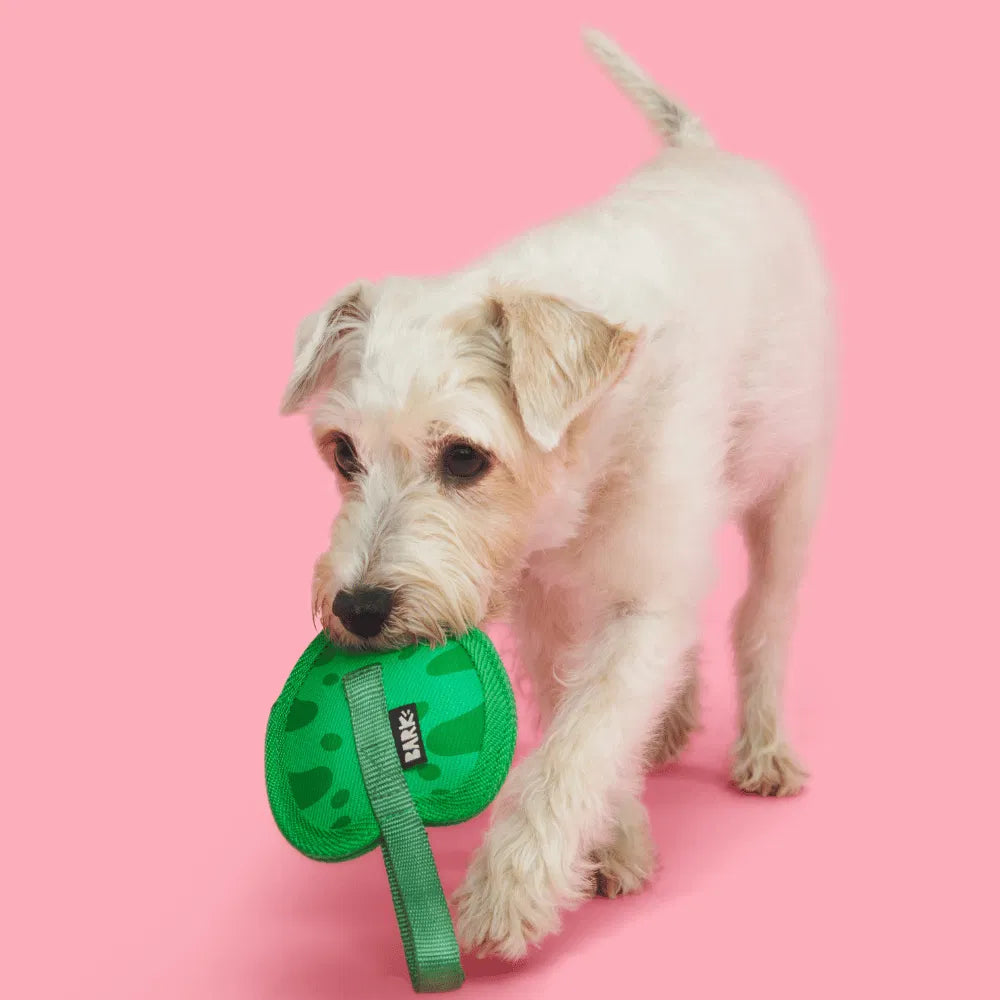 BARK Leaf Thrower Dog Toy
