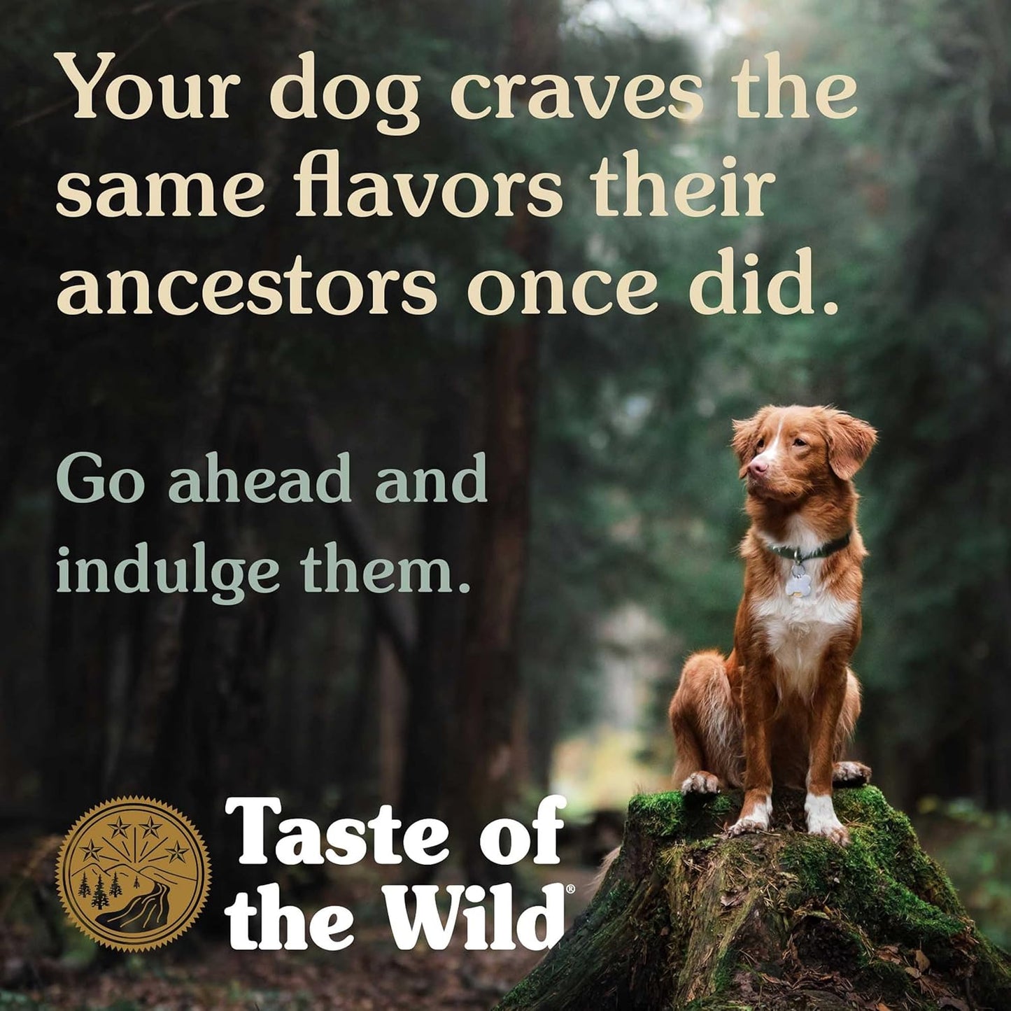 Taste Of The Wild All Breeds & Life Stage Wild Pine Forest Grain Free Dry Dog Food