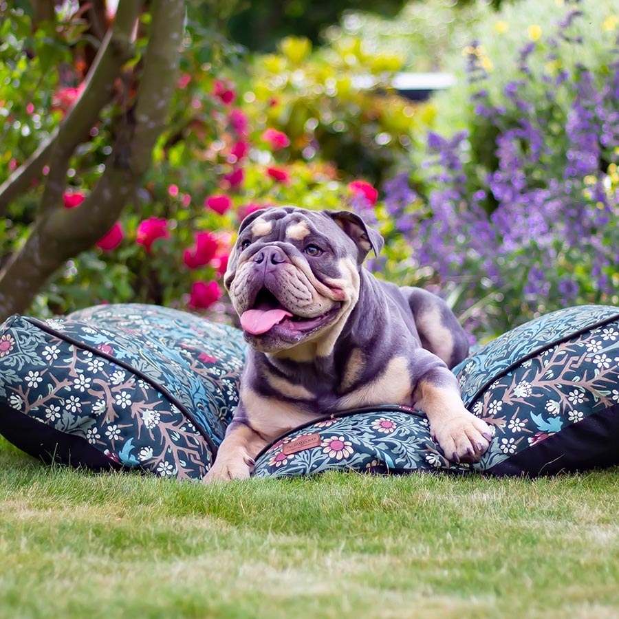 William Morris Pet Mattress Blackthorn Print