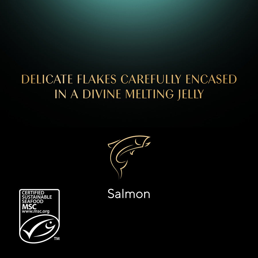 Sheba Fine Flakes Salmon In Jelly, 22 X 85G