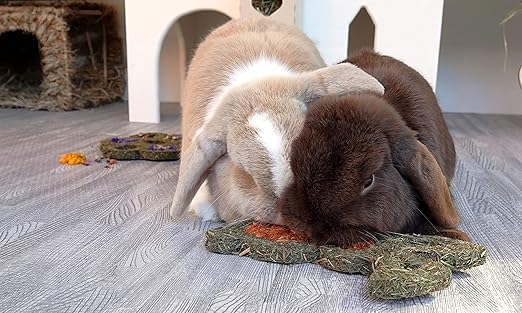 Rosewood Carrot N Forage Bunny
