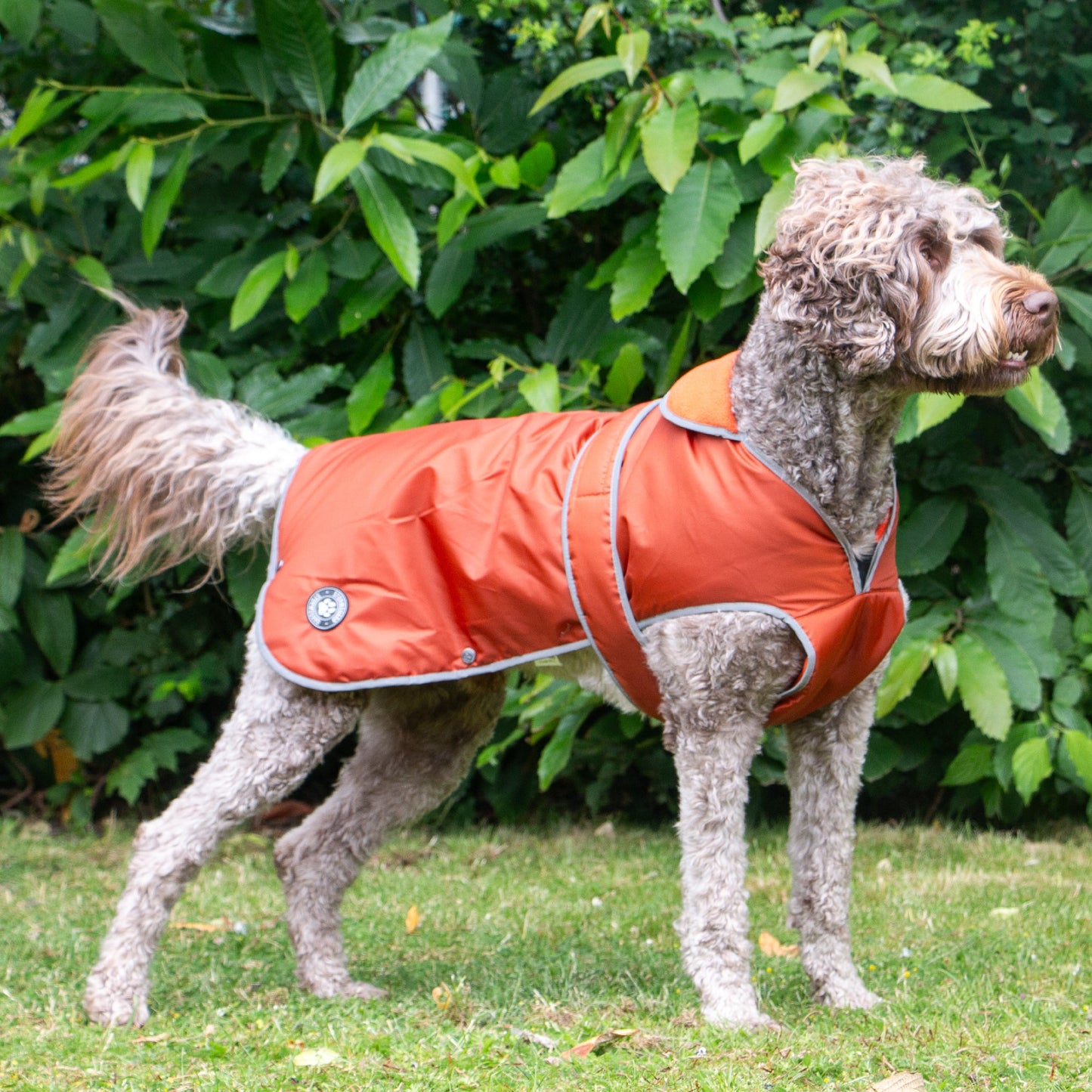 Stormguard Dog Coat Terracotta