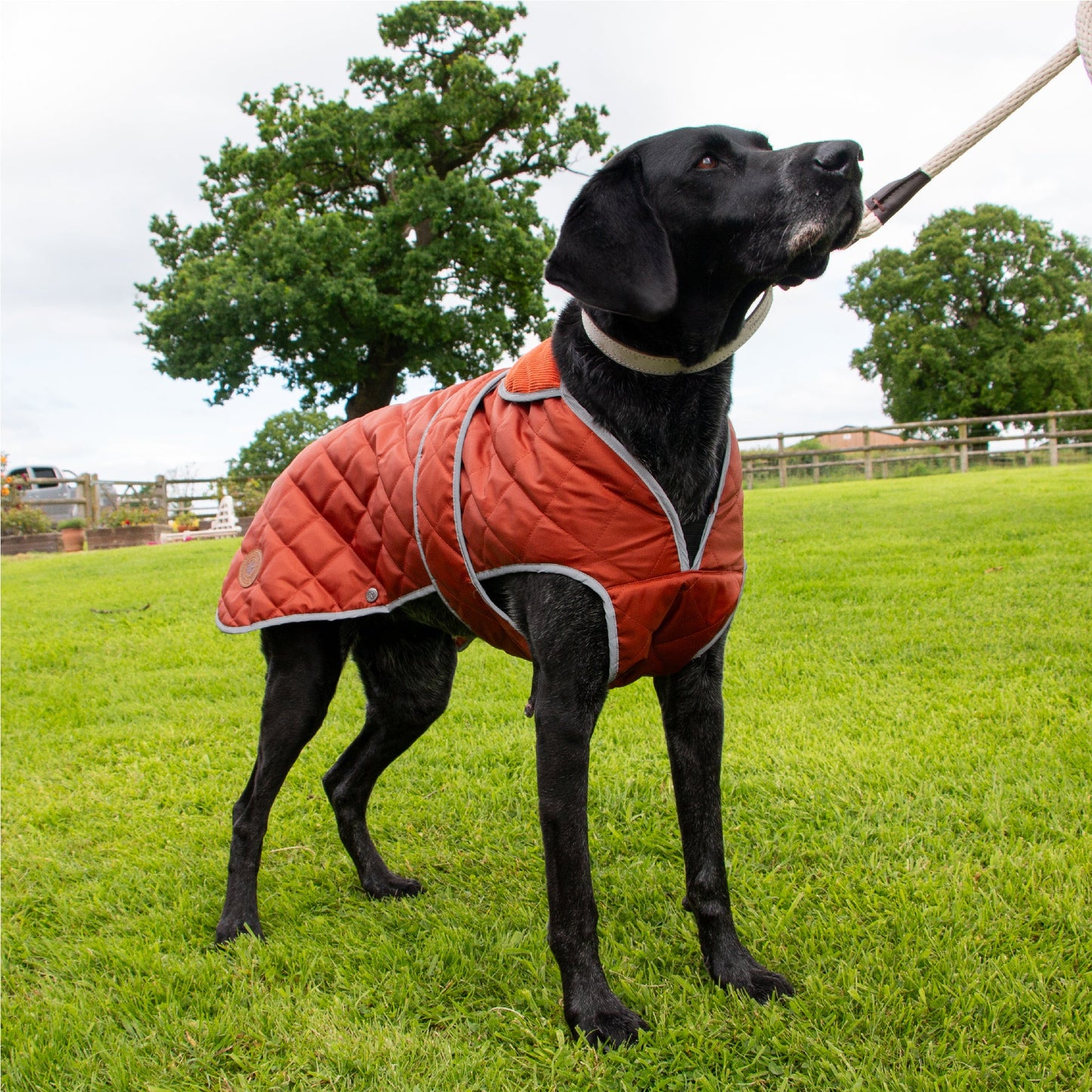 Heritage Terracotta Quilted Coat