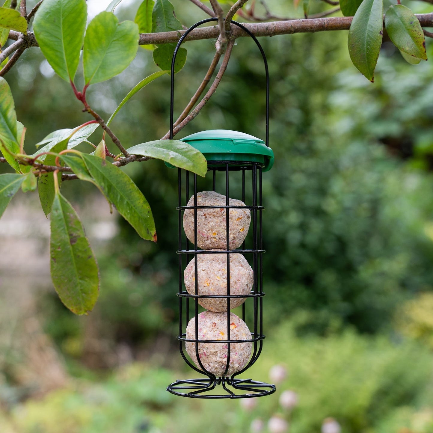 Gardman Flip Top Fat Snax Feeder