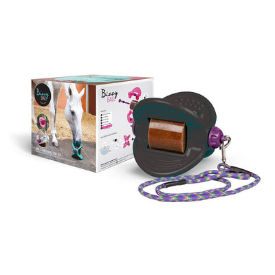 BIZZY HORSE BIZZY BALL BLACK