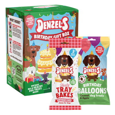 Denzels Birthday Gift Box For Dogs 110G