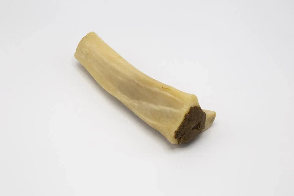 Buffalo Dog Bone - Meat Filled Bones - 7 Pieces
