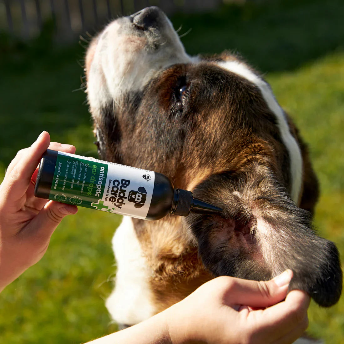 Buddycare Pet Antiseptic Ear Drops 200ml