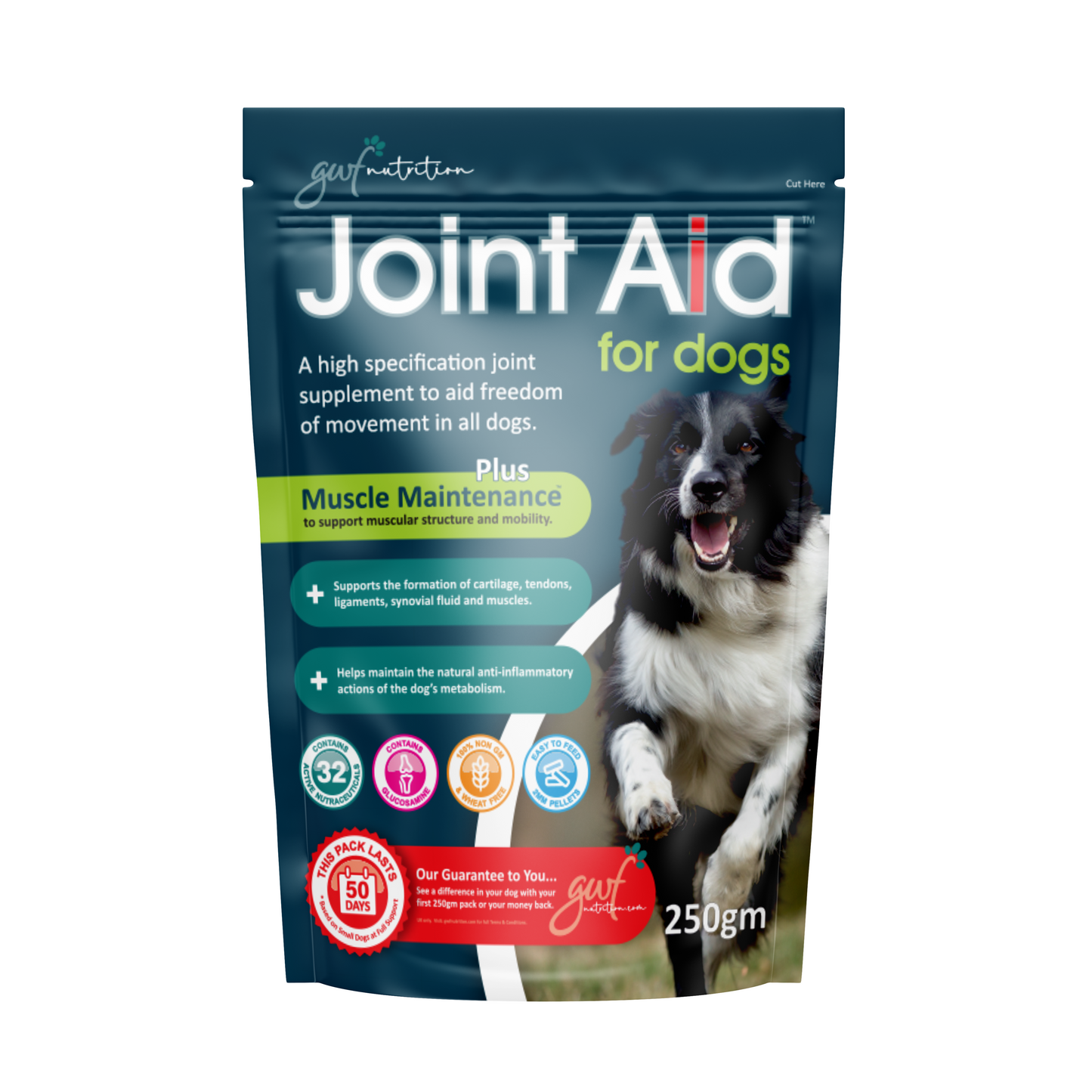 Joint Aid For Dogs + Omega 3 and the Oatinol Delivery System 250g