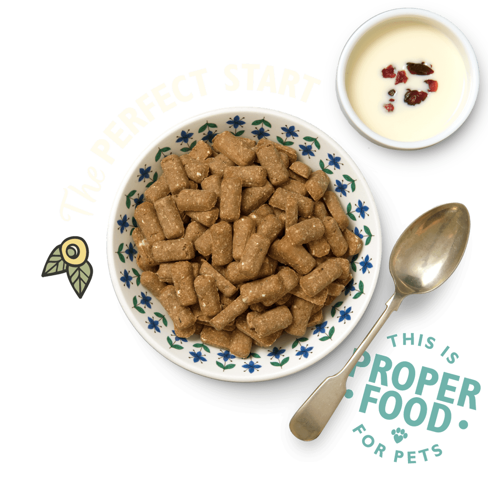 Lily's Kitchen Breakfast Crunch 800g - Ormskirk Pets