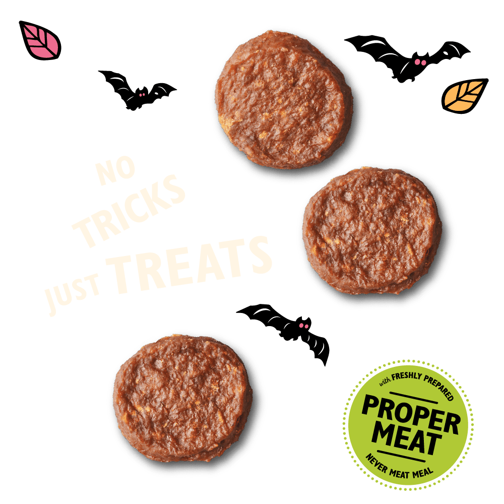 Lily's Kitchen Halloween Dog Beef Mini Burgers 70g - Ormskirk Pets