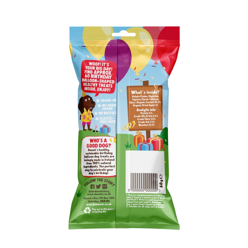 Denzels Birthday Gift Box For Dogs 110G
