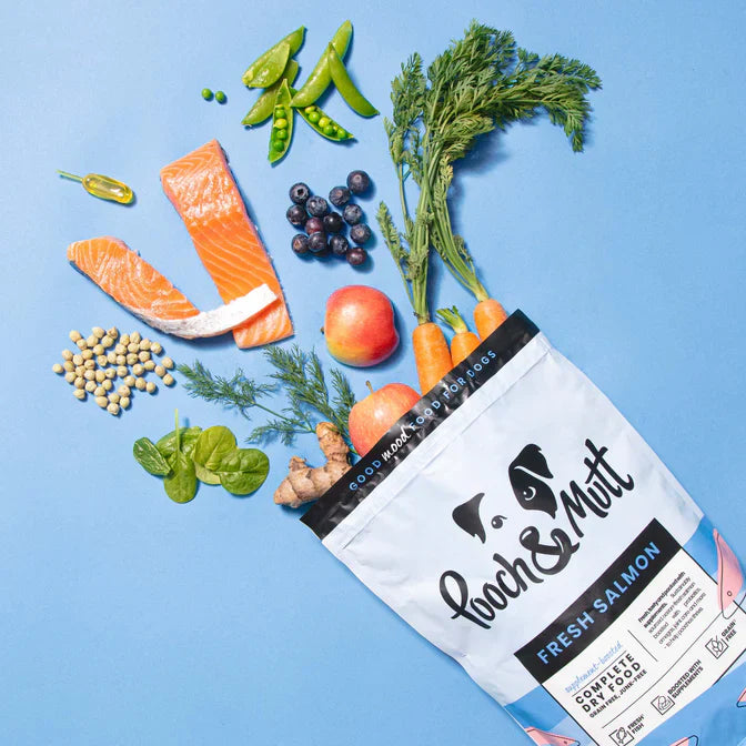 Pooch & Mutt SINGLE PROTEIN FRESH SALMON DRY FOOD Dry Dog Food