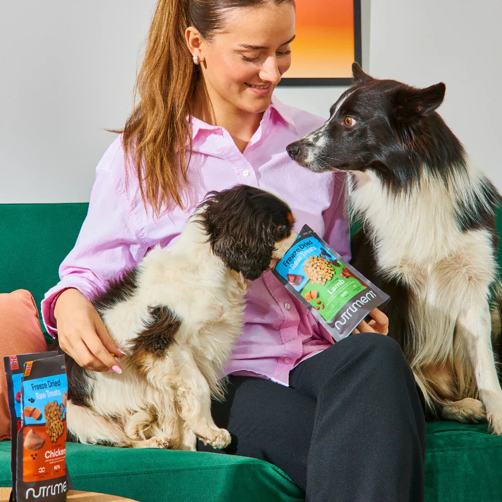 Nutriment Freeze Dried Treats Beef 30g
