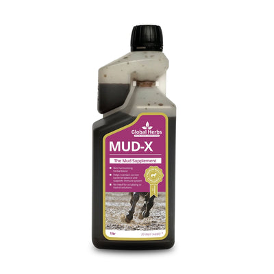 GLOBAL HERBS MUD-X SYRUP 1 LT