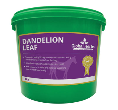 GLOBAL HERBS DANDELION LEAF 1 KG