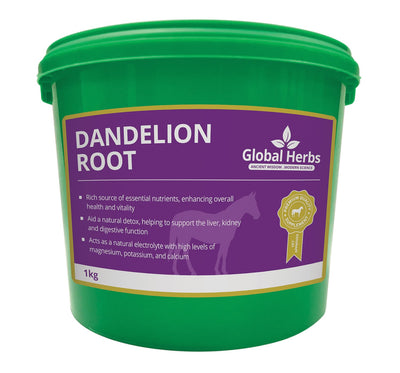 GLOBAL HERBS DANDELION ROOT 1 KG