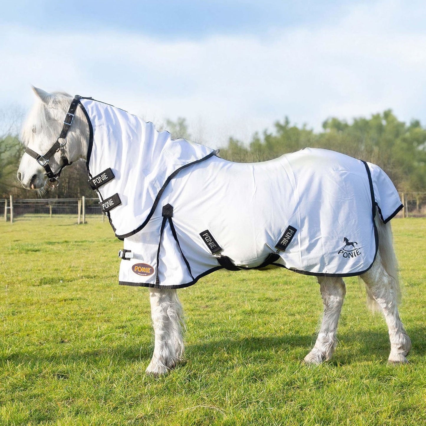 Gallop Ponie Dual 5-Point Fly Rug/Neck Set