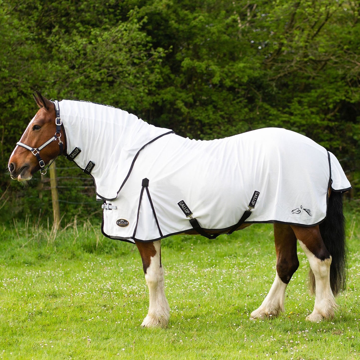 Gallop Dual 5-Point Fly Rug/Neck Set