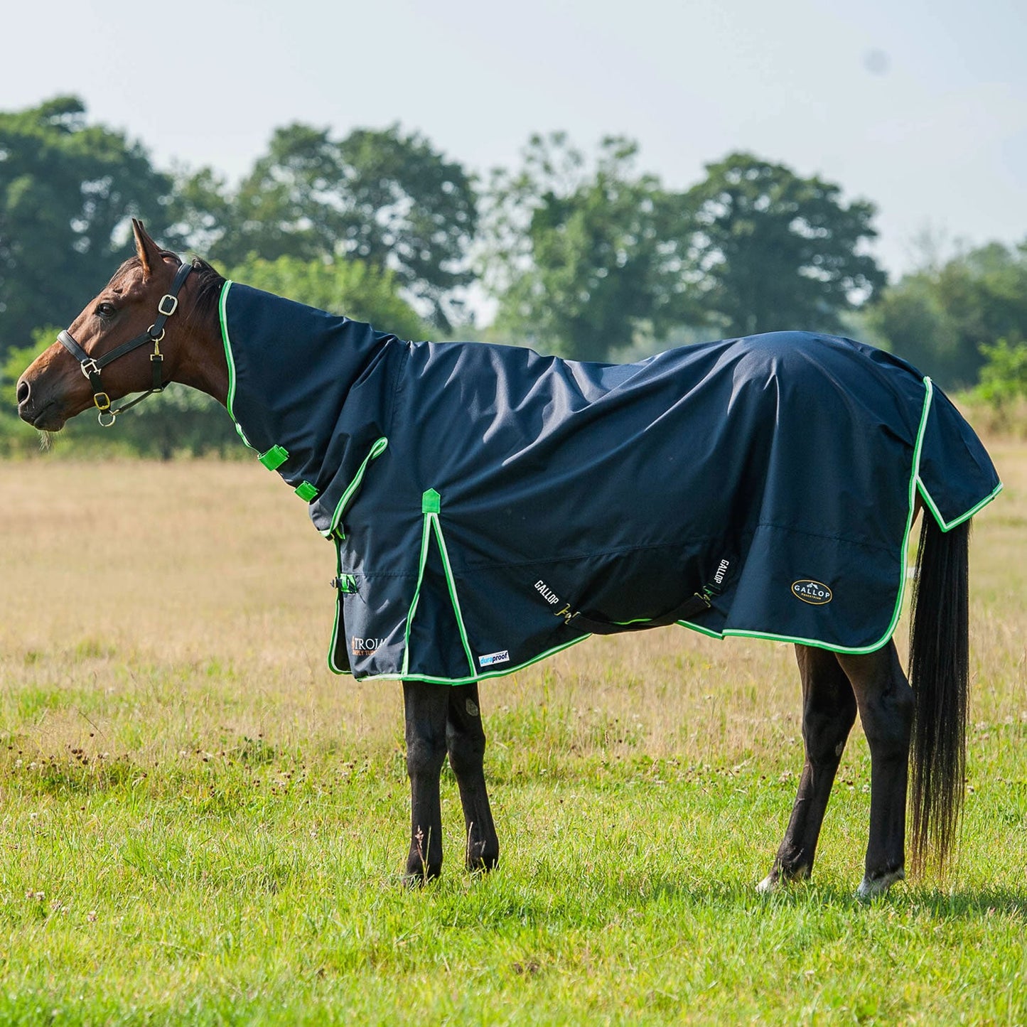 Gallop Ponie/Trojan Duraproof Lightweight Turnout Combo Navy