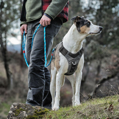 Kurgo Journey Air Harness Black/Grey Medium - Ormskirk Pets