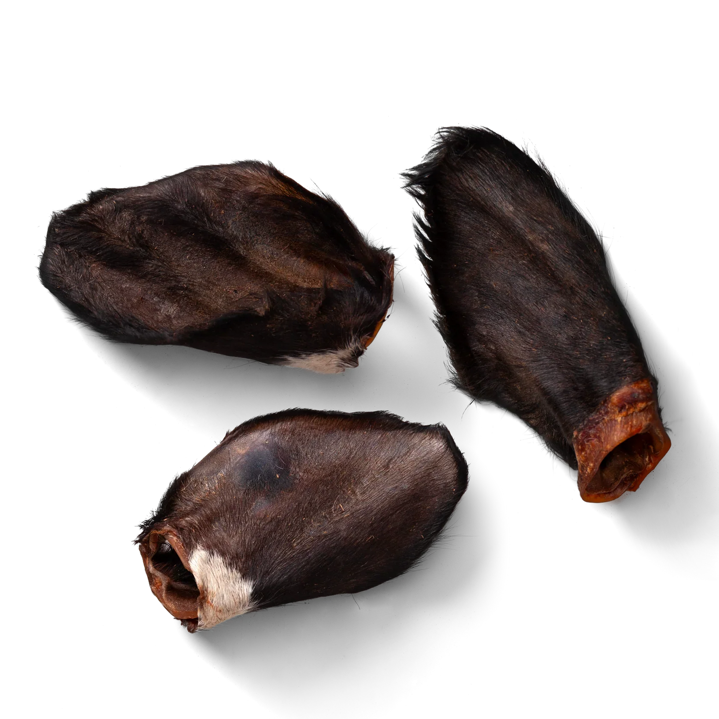 NAW Hairy Beef Ears, 6'S