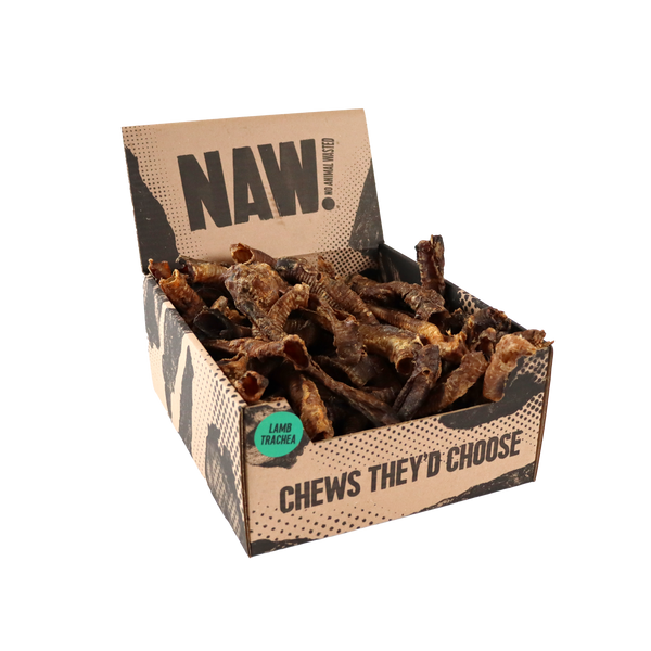 NAW Lamb Trachea
