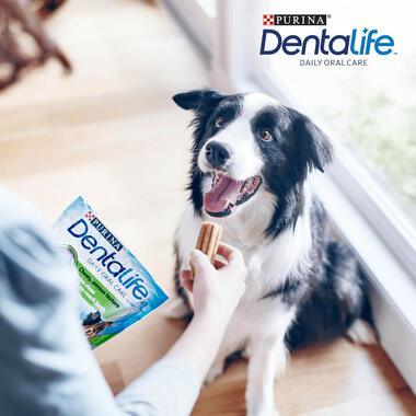 Dentalife Medium Dog Dental Chew 5 Stick 115G (5X23G) - Ormskirk Pets