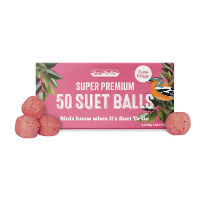 SUET TO GO SUPER PREMIUM SUET BALLS BERRY 50 balls