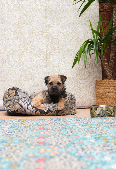 William Morris Square Dog Bed Acanthus Print