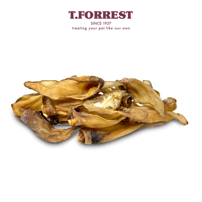 T Forrest Large Buffalo Ear x20