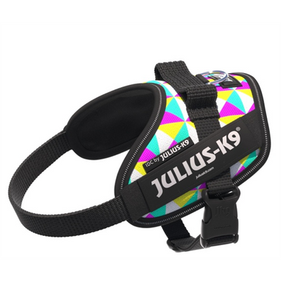 Julius-K9 IDC Power Harness Retro