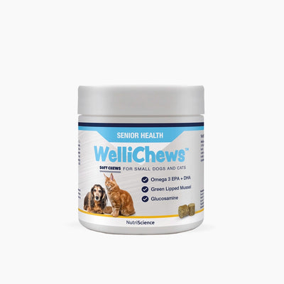 Wellichews Senior Soft Chews