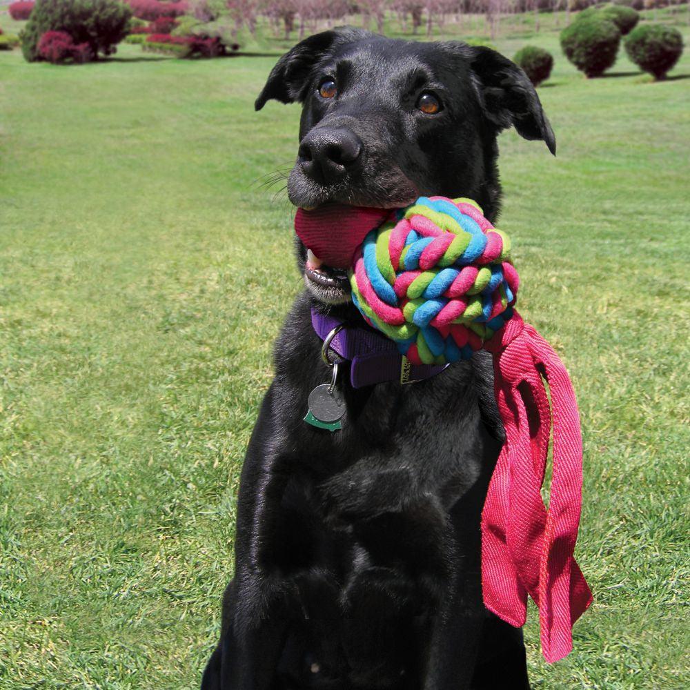 KONG Wubba Weaves - Ormskirk Pets