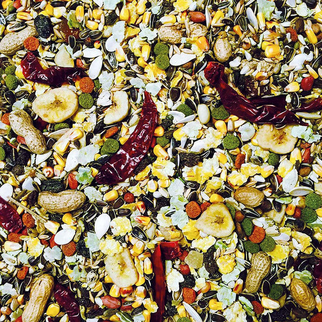 Bucktons Elite Parrot Food 3Kg