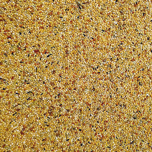 Bucktons Foreign Finch Food 2Kg