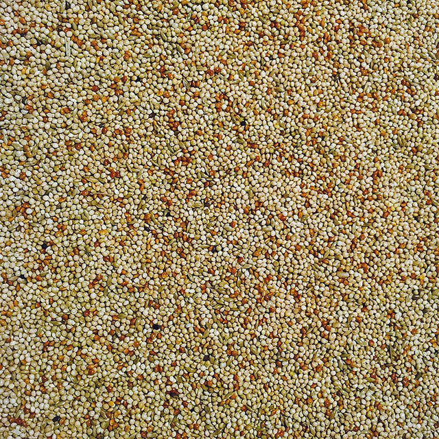 Bucktons Special Budgie Food 2Kg