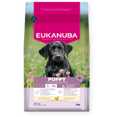 Eukanuba Puppy Large Breed Chicken 3Kg
