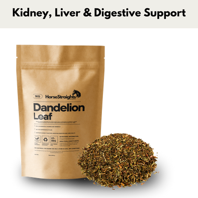 Horse Straights Direct Dandelion Leaf Chopped 1kg
