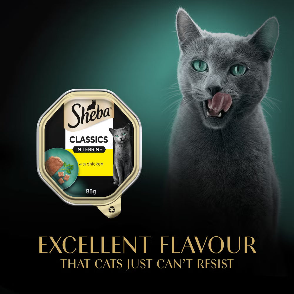 SHEBA Classics Adult Cat Food with Chicken in Terrine Tray 22x85g