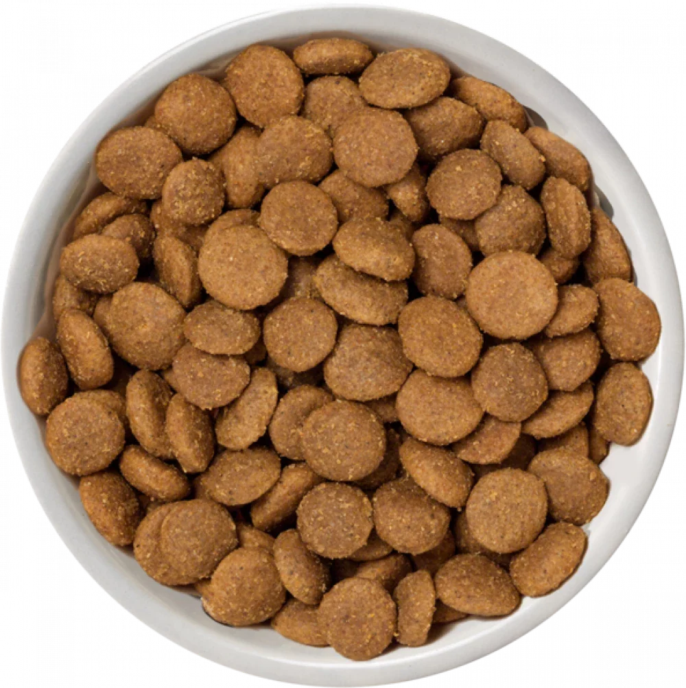 Natures Variety Free Range Chicken 10kg