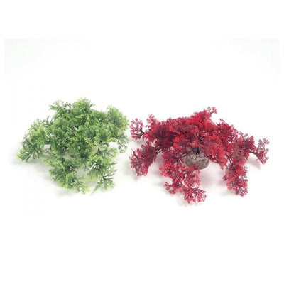 Rosewood Tropical Moss - Ormskirk Pets