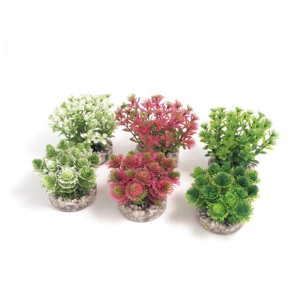 Rosewood Nano Bush Natural - Ormskirk Pets